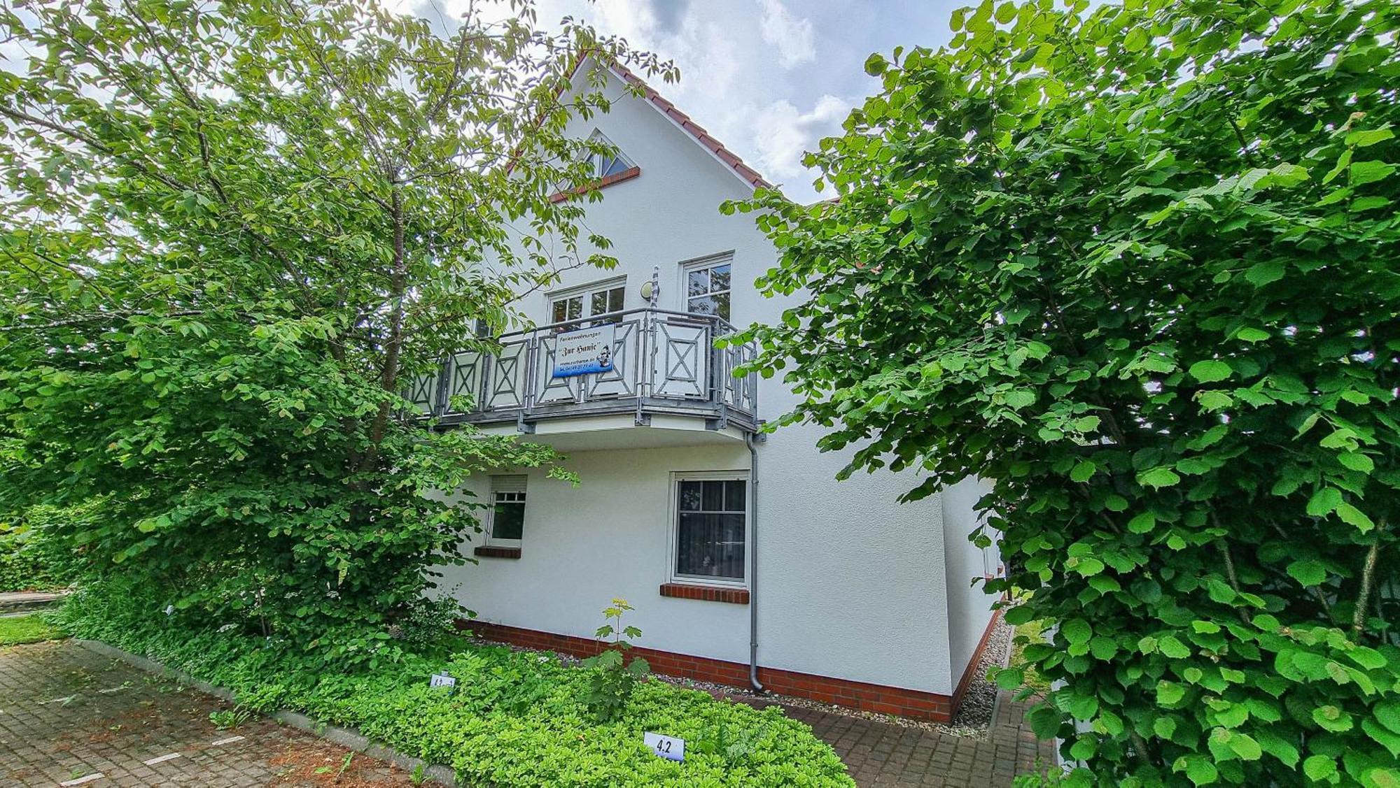 Zur Hanse Wohnung 3 3 - Lingnau 青斯特 外观 照片
